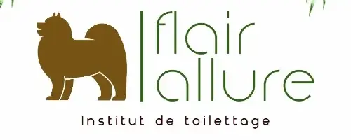flairallure Pierre Bénite
